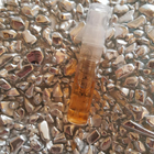 Отзывы Amouage Lilac Love