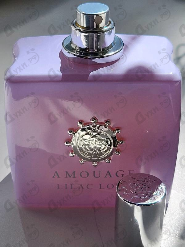 Купить Lilac Love от Amouage