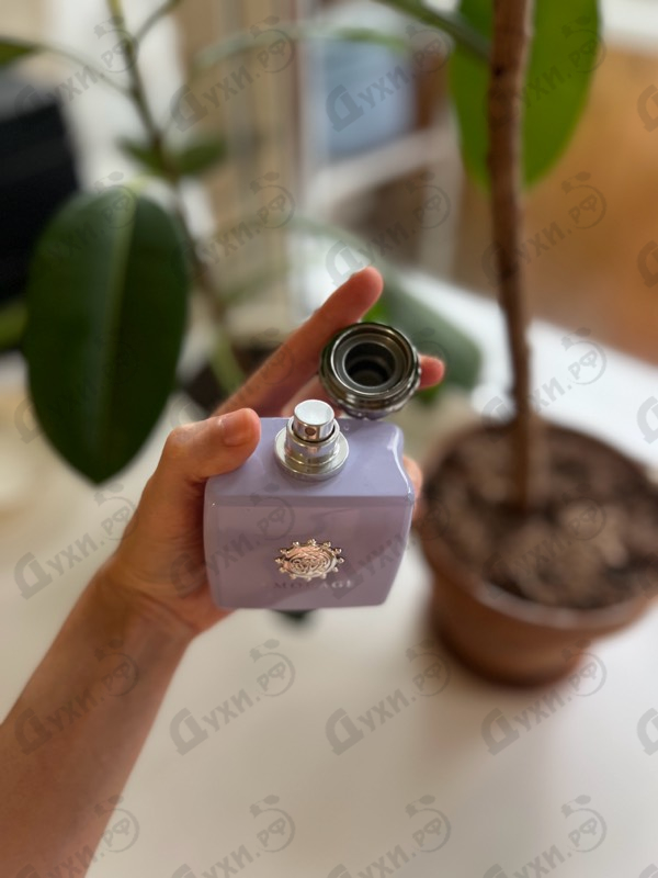 Купить Lilac Love от Amouage