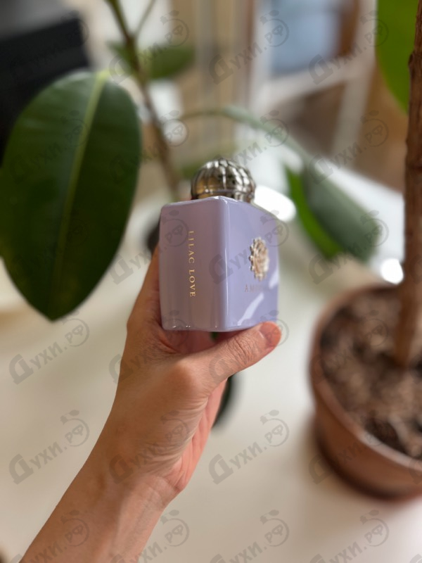Купить Amouage Lilac Love