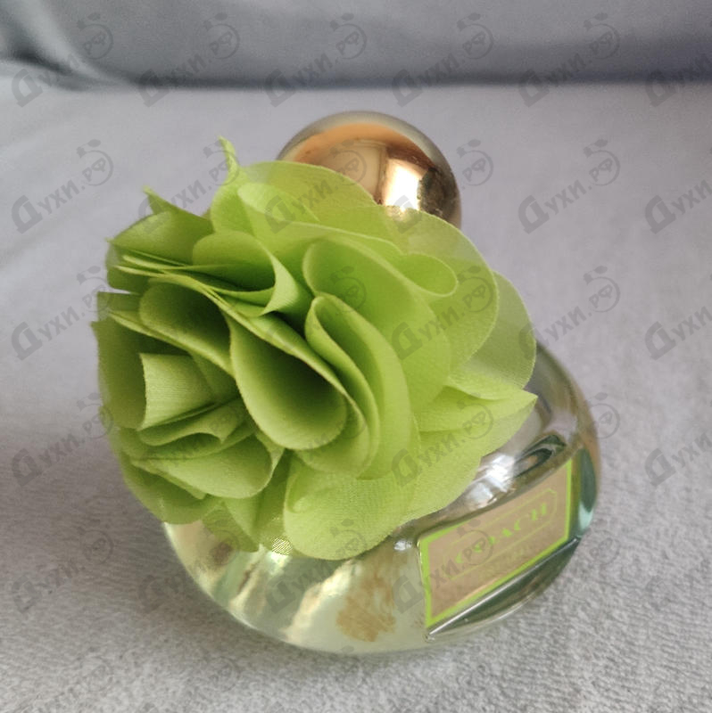 Парфюм Coach Poppy Citrine Blossom Парфюмерия Poppy Citrine Blossom от Coach