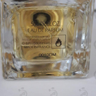 Отзывы Dolce & Gabbana Velvet Ginestra