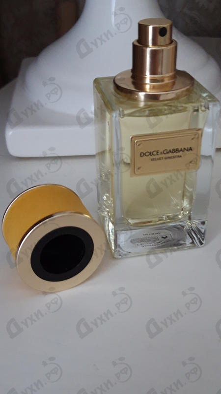 Купить Dolce & Gabbana Velvet Ginestra