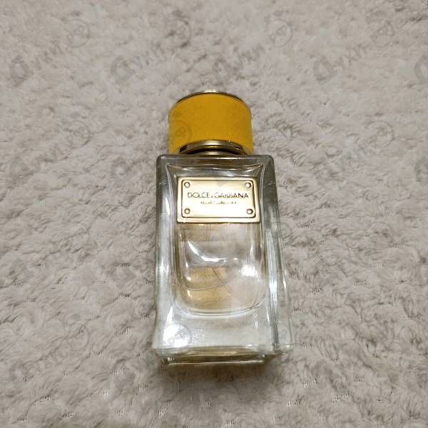 Отзыв Dolce & Gabbana Velvet Ginestra