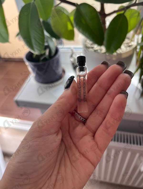 Парфюм Atelier Cologne Camelia Intrepide Духи Camelia Intrepide от Atelier Cologne