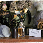 Духи Aromatics In Black от Clinique