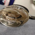 Отзыв Coach Coach The Fragrance Парфюмерия Coach The Fragrance от Coach
