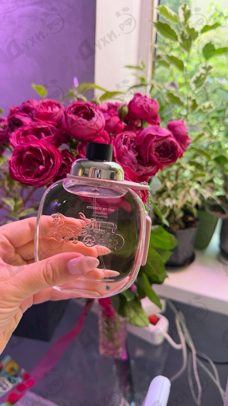 Парфюмерия Coach The Fragrance от Coach