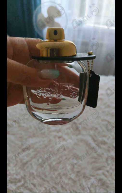Купить Coach Coach The Fragrance