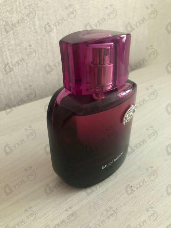 Отзывы Lacoste L.12.12 Magnetic Купить L.12.12 Magnetic от Lacoste