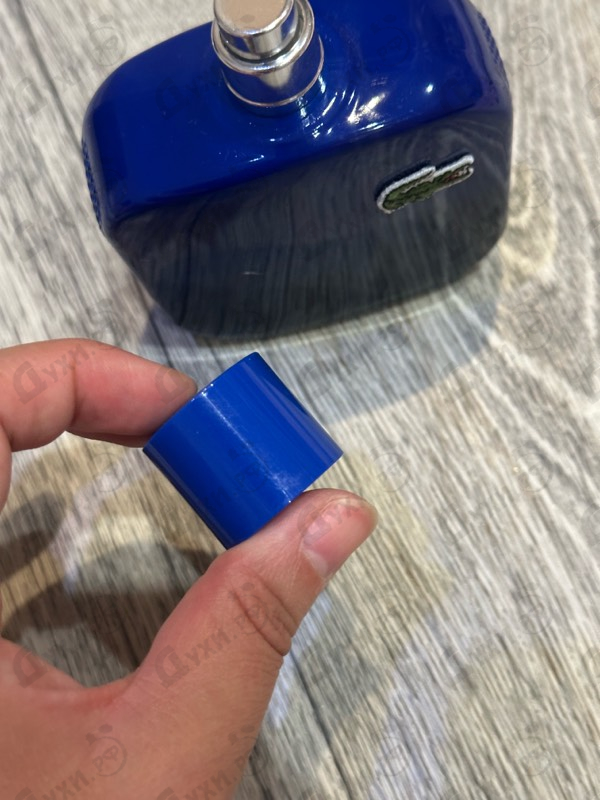 Купить L.12.12. Magnetic от Lacoste