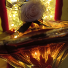 Отзывы Lancome La Nuit Tresor Caresse