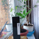 Парфюм LM Parfums Sine Die