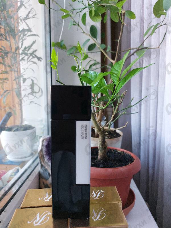 Парфюмерия Sine Die от LM Parfums
