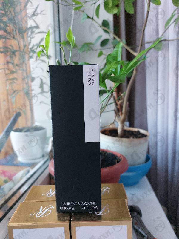 Купить LM Parfums Sine Die