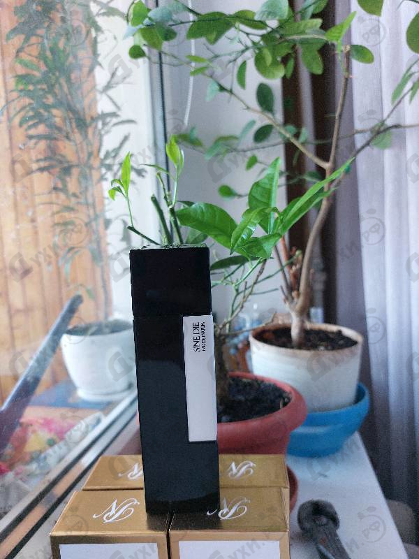 Отзыв LM Parfums Sine Die