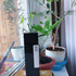 Отзыв LM Parfums Sine Die