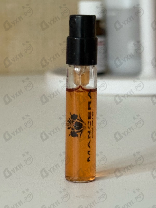 Купить Velvet Vanilla от Mancera