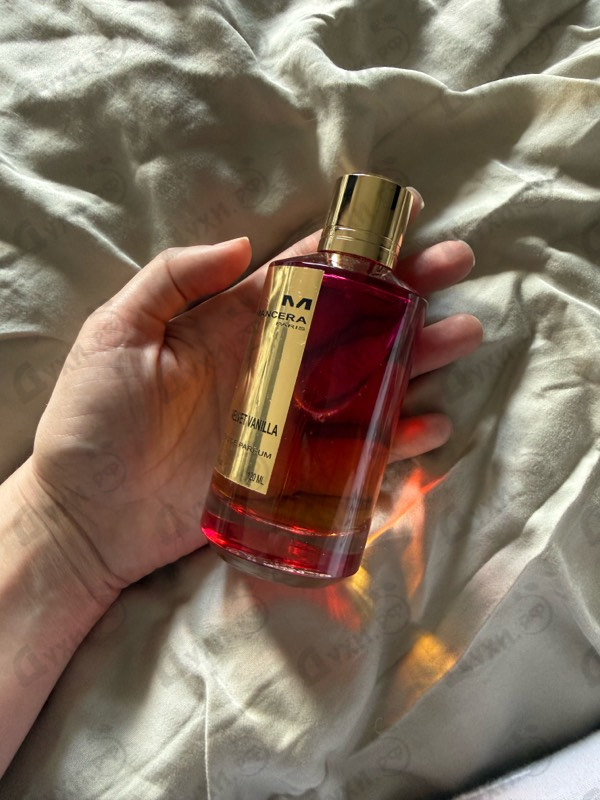 Духи Velvet Vanilla от Mancera
