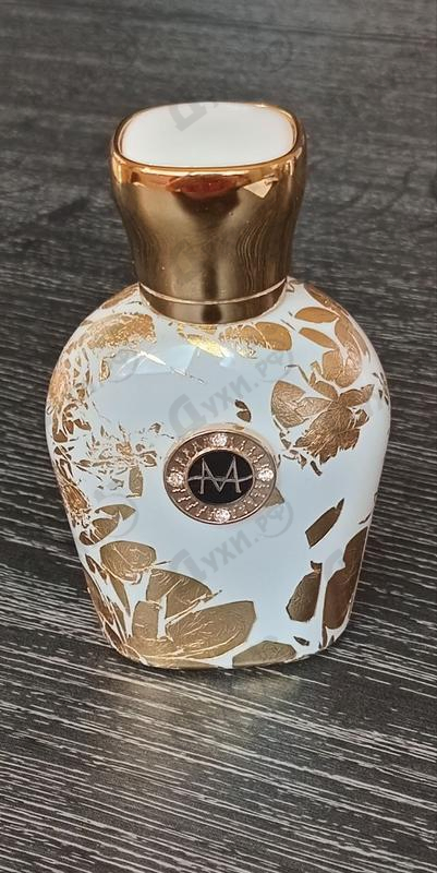 Купить Regina от Moresque