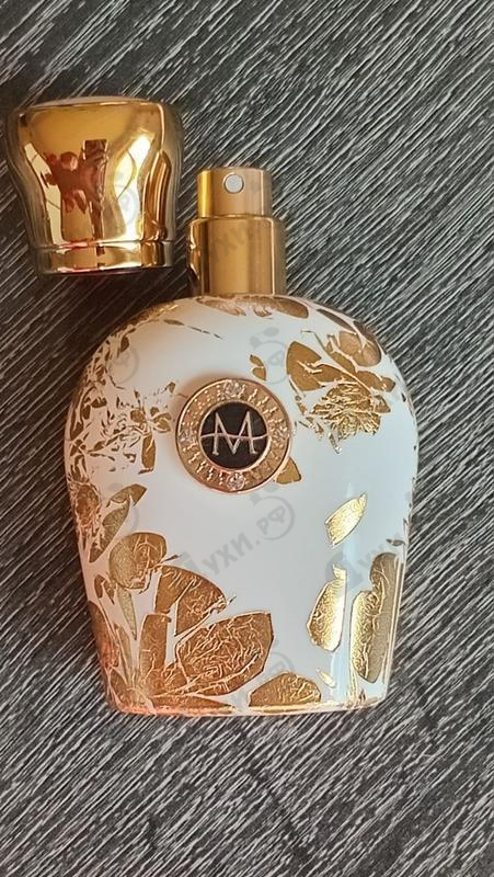 Отзывы Moresque Regina