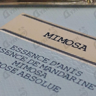 Отзывы Prada Infusion De Mimosa