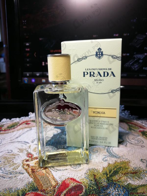 Духи Infusion De Mimosa от Prada