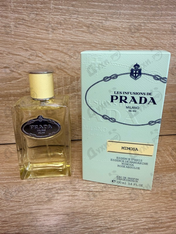 Купить Infusion De Mimosa от Prada