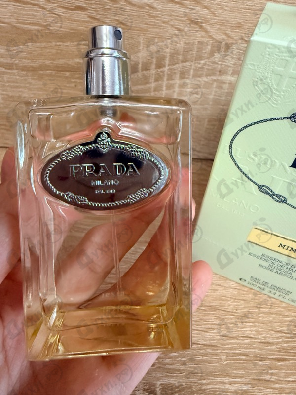 Купить Infusion De Mimosa от Prada