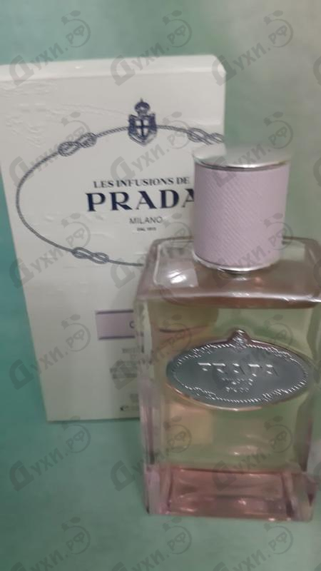 Купить Infusion D'oeillet от Prada