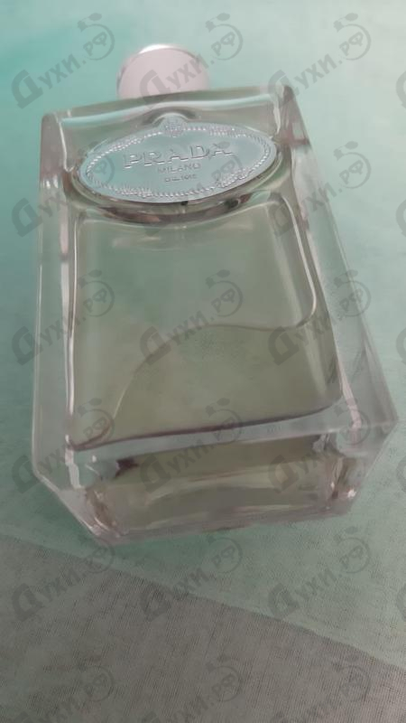 Духи Prada Infusion D'oeillet Парфюмерия Infusion D'oeillet от Prada