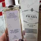Парфюм Prada Infusion D'oeillet