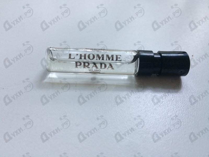 Отзывы Prada Prada L'homme