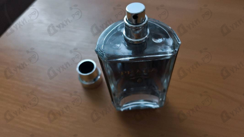 Купить Prada Prada L'homme