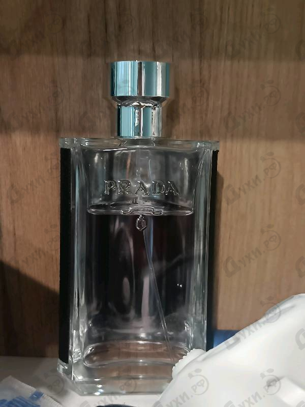 Отзыв Prada Prada L'homme