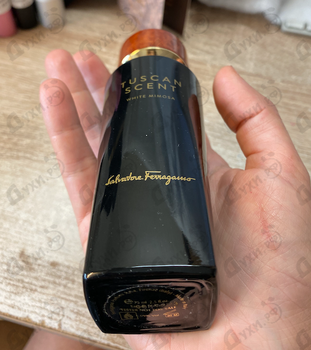 Купить Salvatore Ferragamo White Mimosa