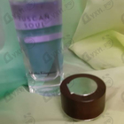 Парфюм Salvatore Ferragamo Viola Essenziale