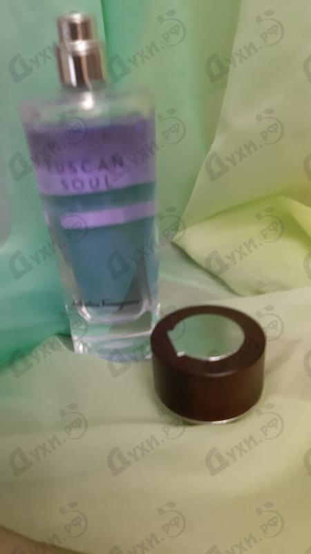 Парфюмерия Salvatore Ferragamo Viola Essenziale