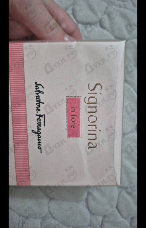 Отзывы Salvatore Ferragamo Signorina In Fiore