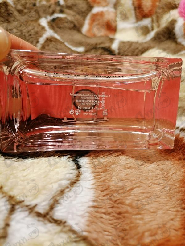 Отзывы Salvatore Ferragamo Signorina In Fiore Купить Signorina In Fiore от Salvatore Ferragamo