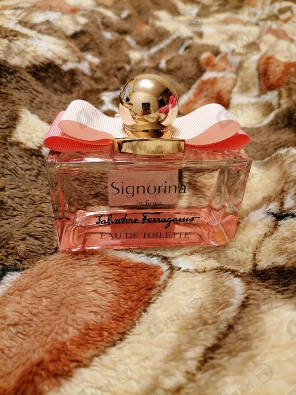 Отзыв Salvatore Ferragamo Signorina In Fiore Купить Signorina In Fiore от Salvatore Ferragamo