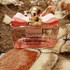 Отзыв Salvatore Ferragamo Signorina In Fiore Купить Signorina In Fiore от Salvatore Ferragamo