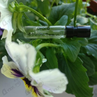 Парфюм Tiziana Terenzi Draco