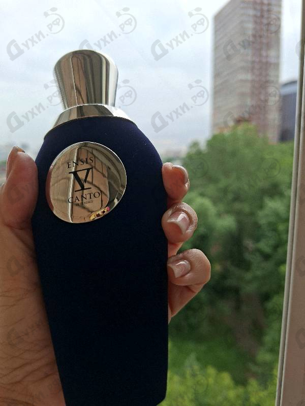 Купить Ensis от V Canto