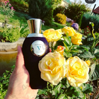 Отзывы V Canto Mirabile