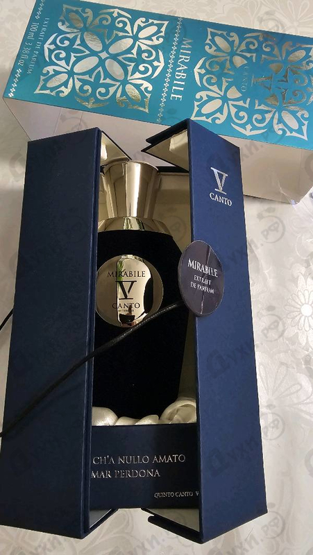 Отзывы V Canto Mirabile