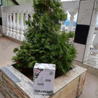 Отзыв Zadig & Voltaire This Is Her