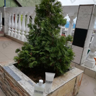 Парфюм Zadig & Voltaire This Is Her