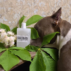 Отзывы Zadig & Voltaire This Is Her