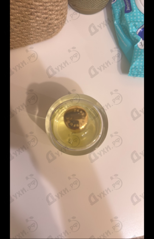 Парфюмерия Inception от Zarkoperfume